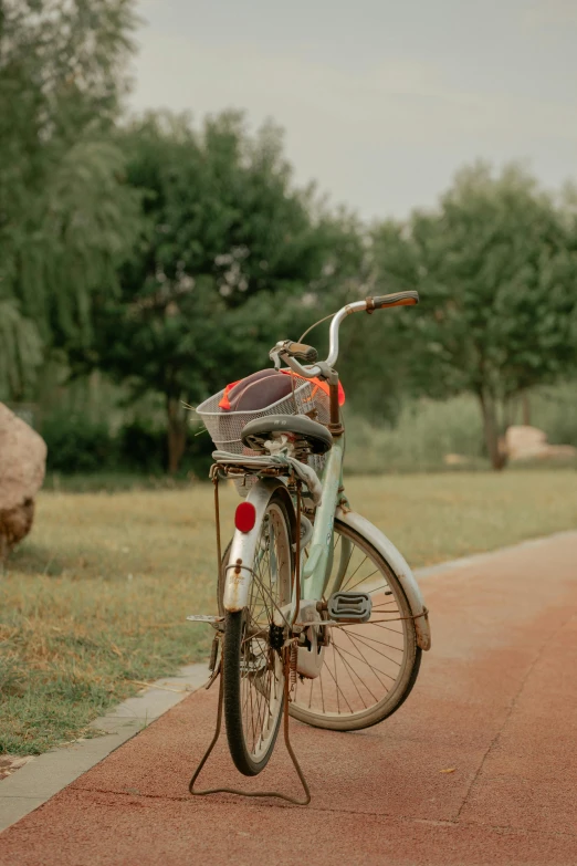 an old bicycle parked on the road with trees behind it