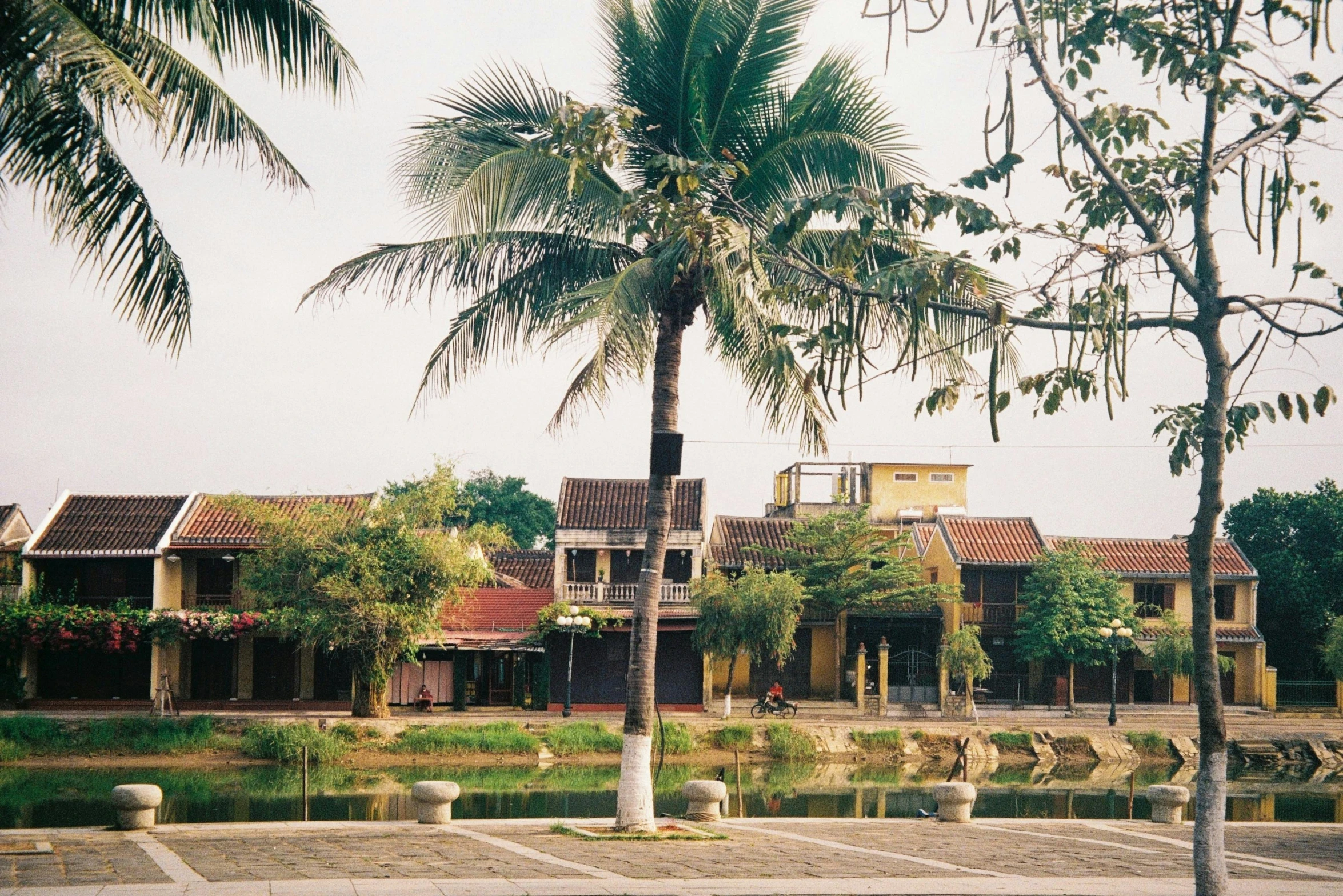 a group of buildings sitting next to a lake in a park