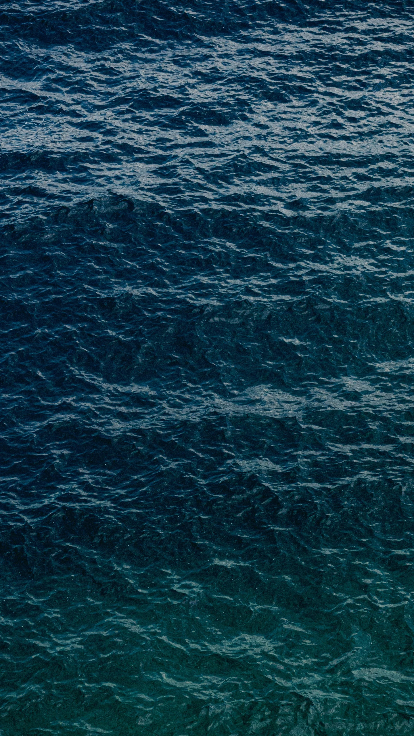 two people are on surf boards riding the waves