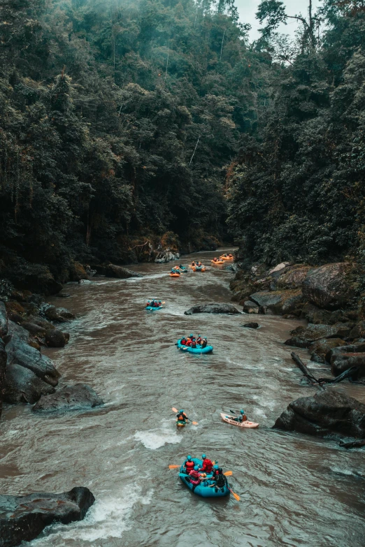 some people are out in the water kayaking