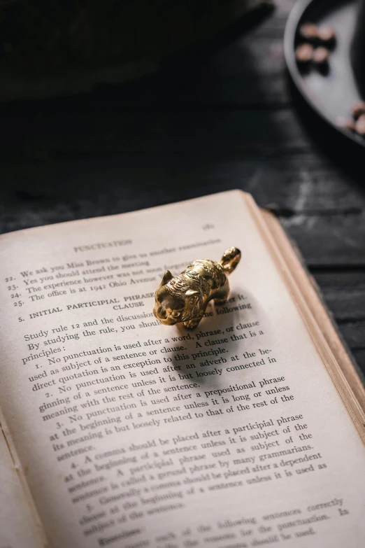 a book with a tiny ring on it sitting on top of it