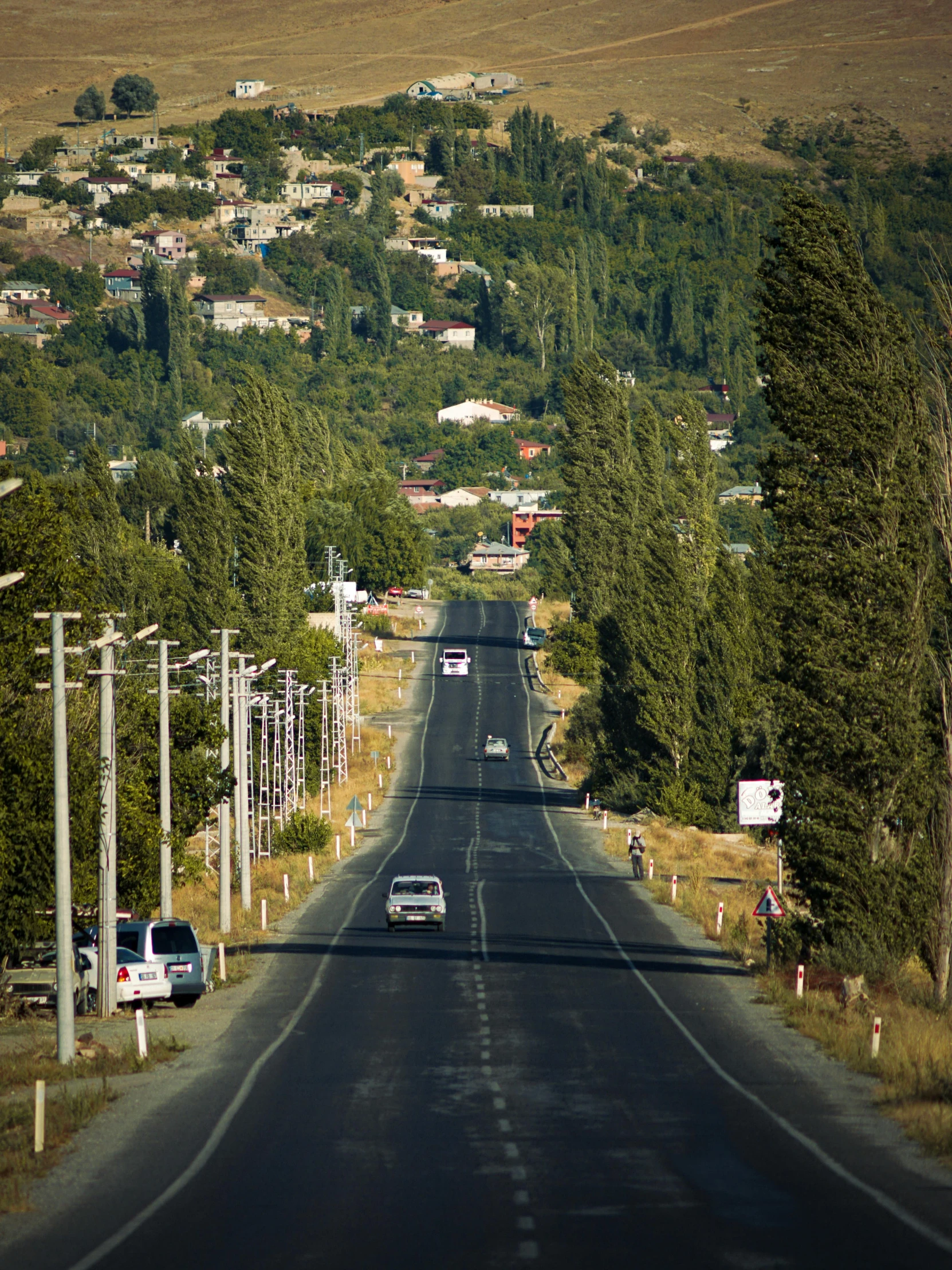 a long road runs through a forested mountain