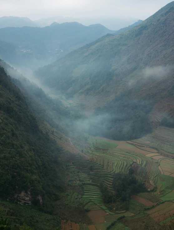 fog in the valley where a group of people work