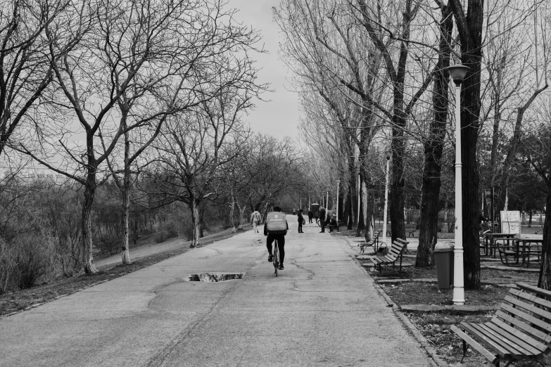 a person walking along a park bench lined path