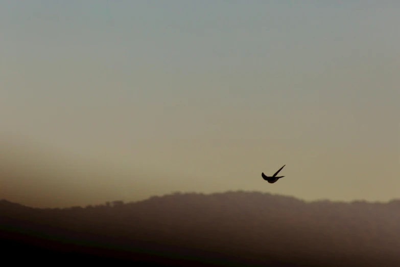 a bird flying through the sky over a mountain