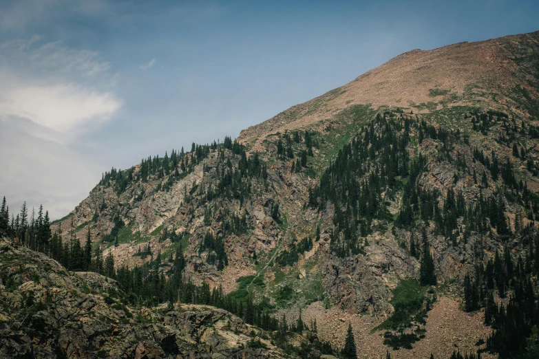 a mountain range with lots of green trees