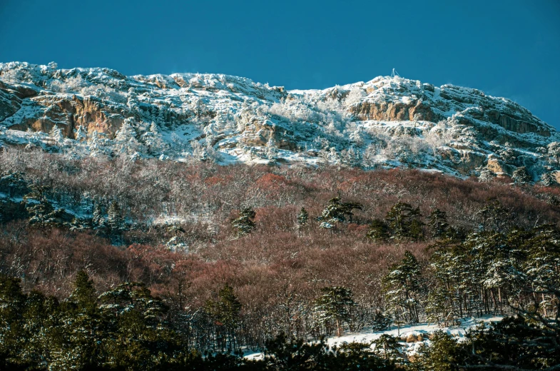 snow covered mountains rise near a forest filled mountain