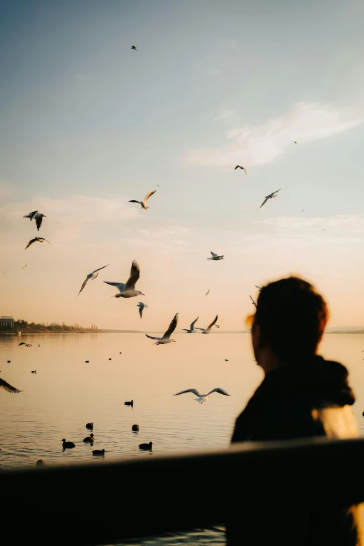 a woman looks out at seagulls in the sky