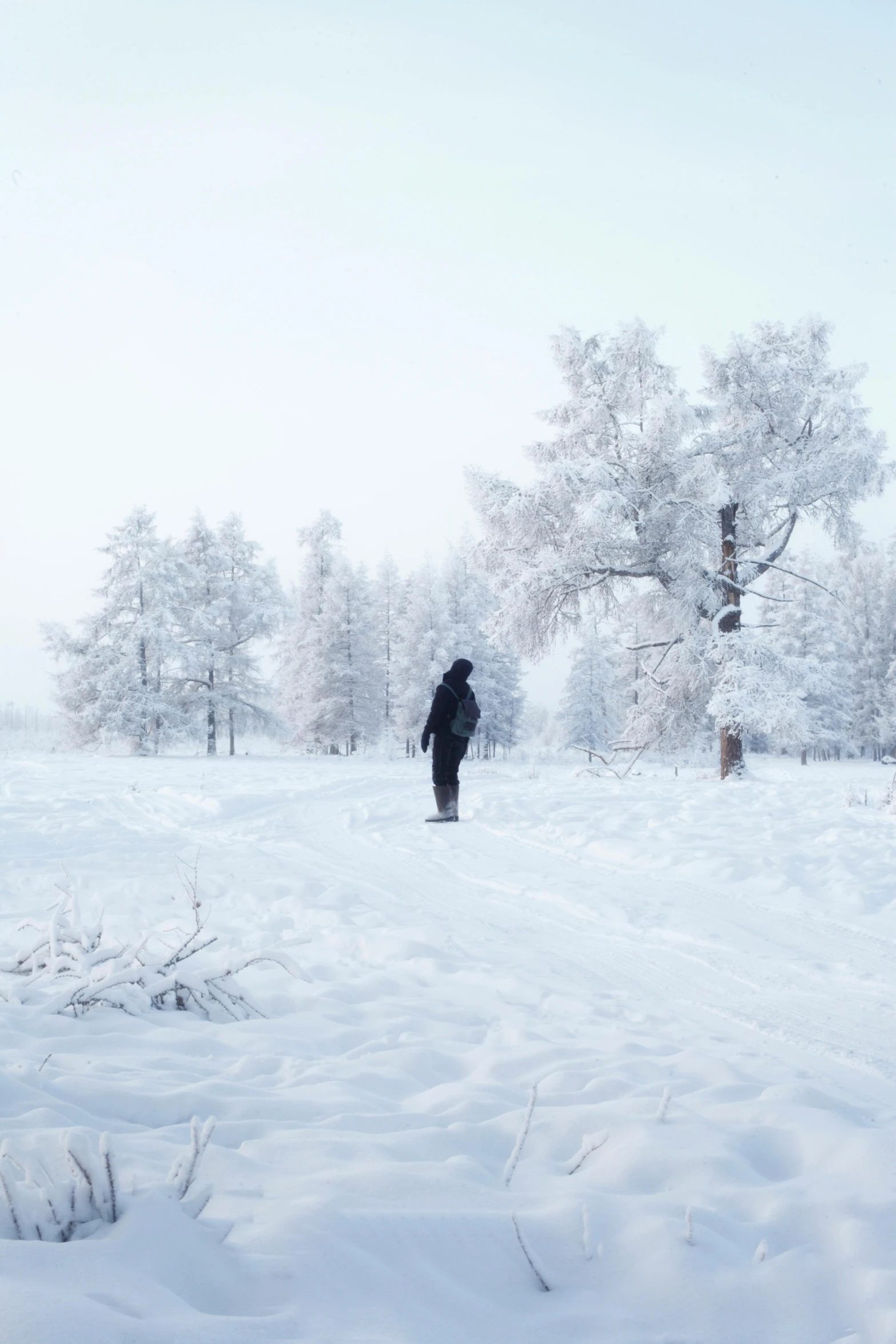 person in snow suit walking through open area with trees in background