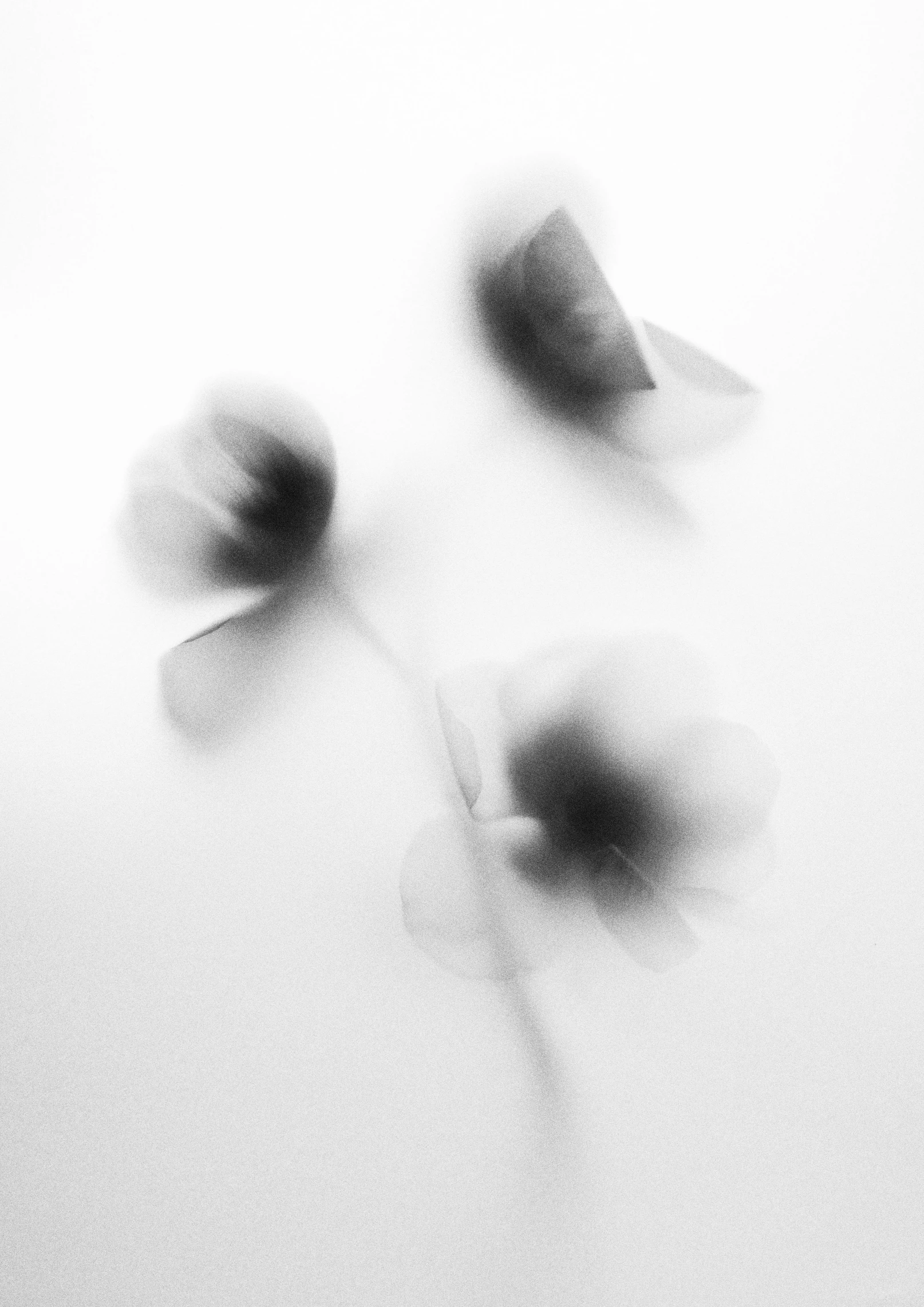 blurry objects floating on a white surface