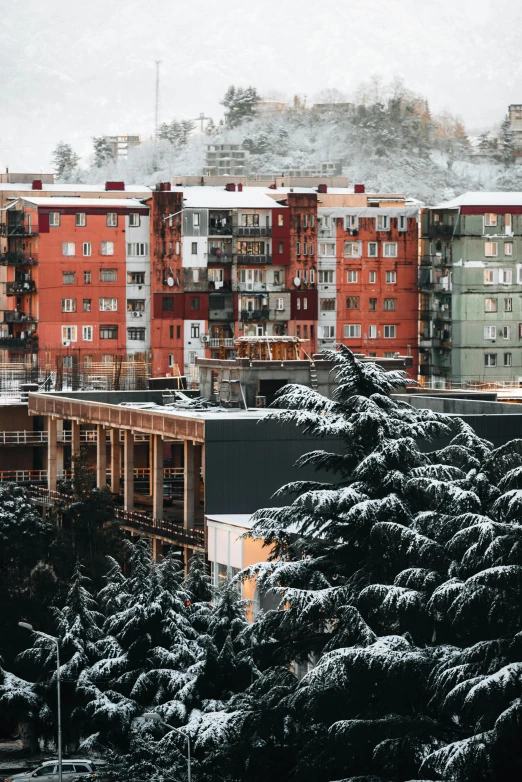 snowy view of snow covered trees and a hillside