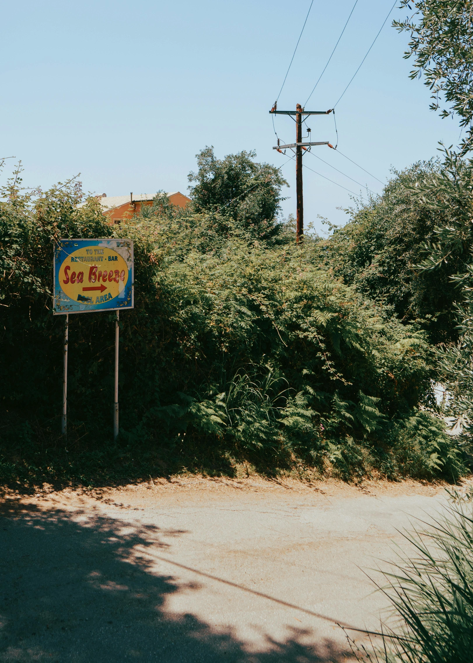 the road is paved and a sign has graffiti on it