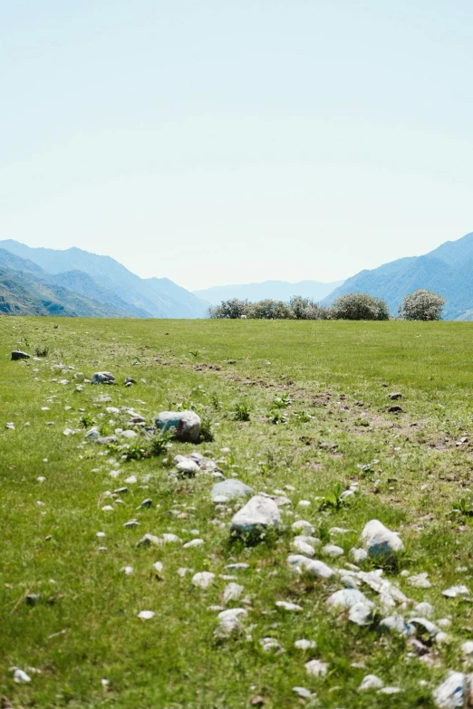 a lone bench is on the grass in the mountains