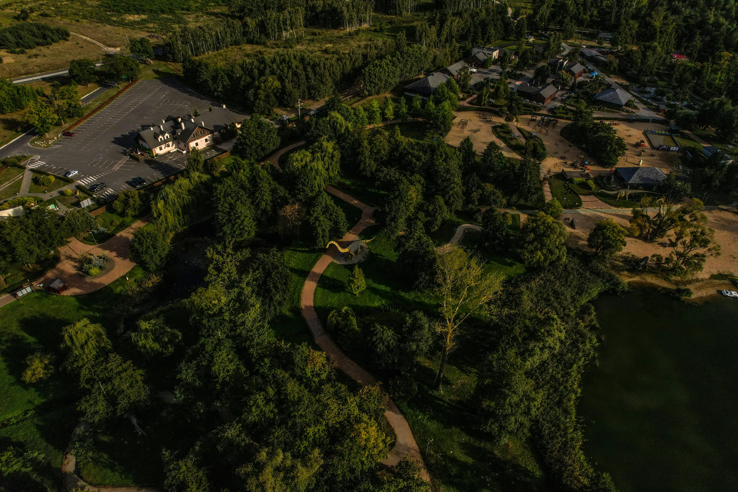 an aerial s of trees and houses in the distance