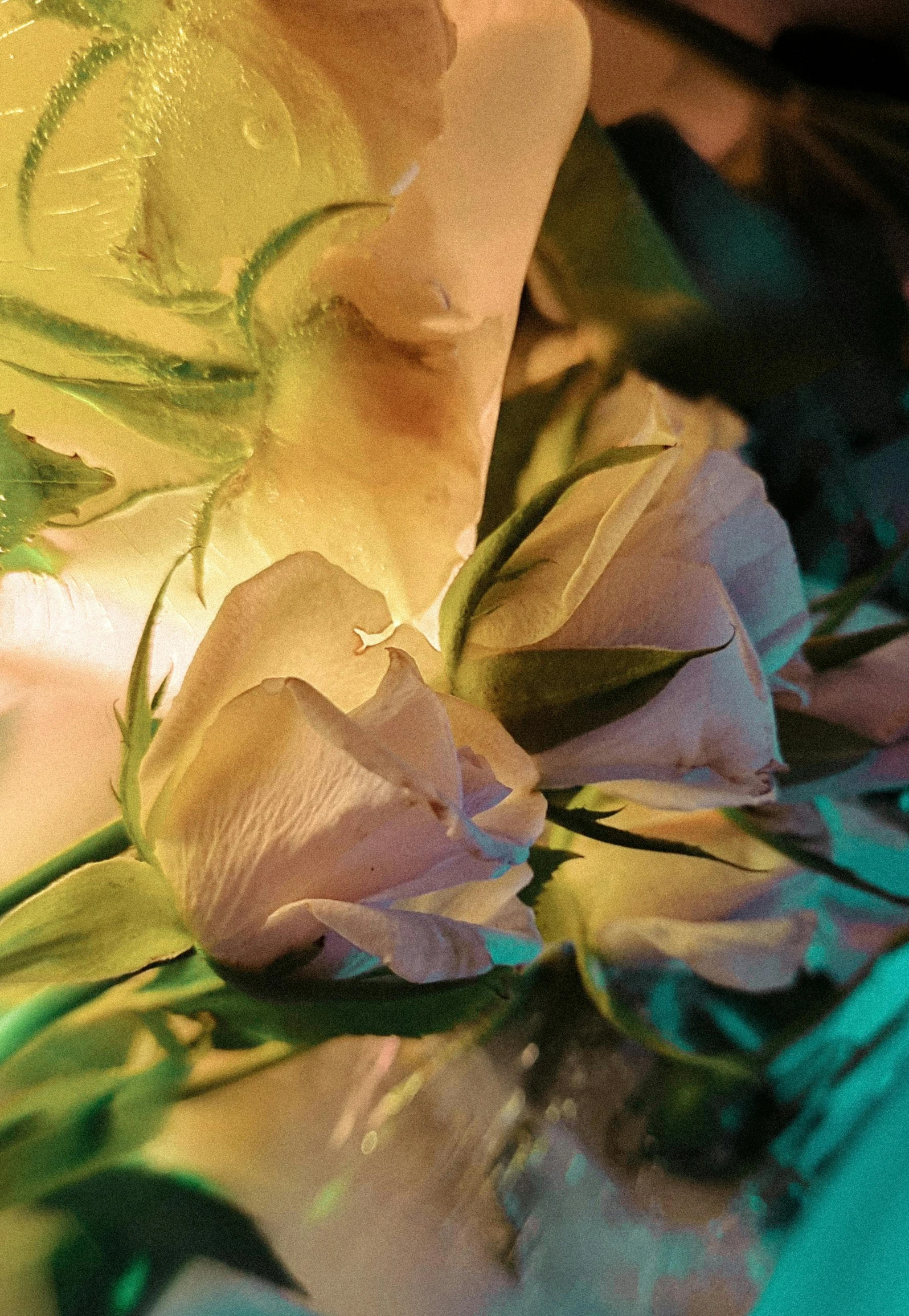 a closeup of a bouquet of flowers on a table