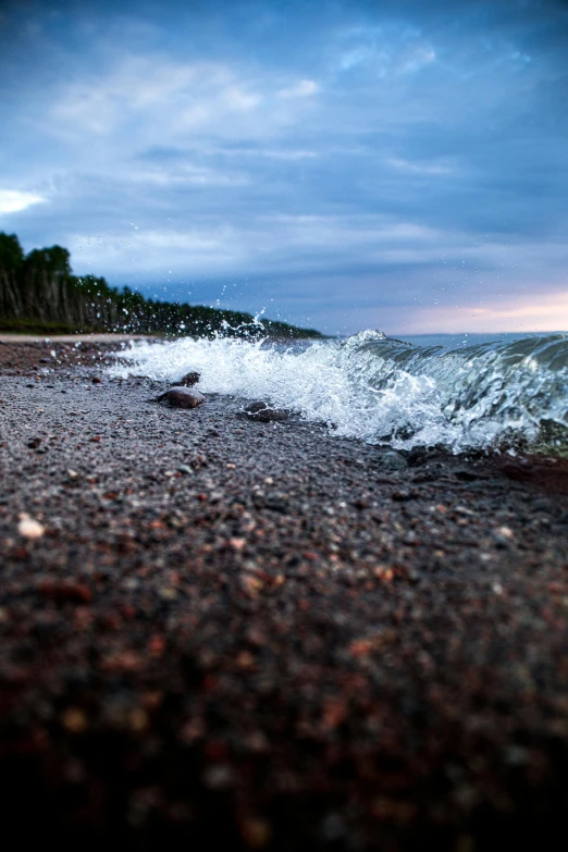 the waves have just came in to the shore