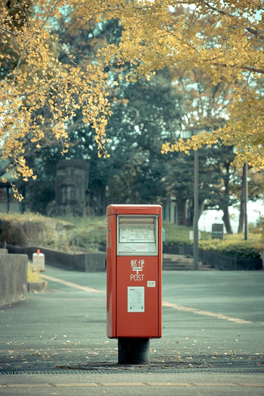 a red box is on a street curb with a tree in the background