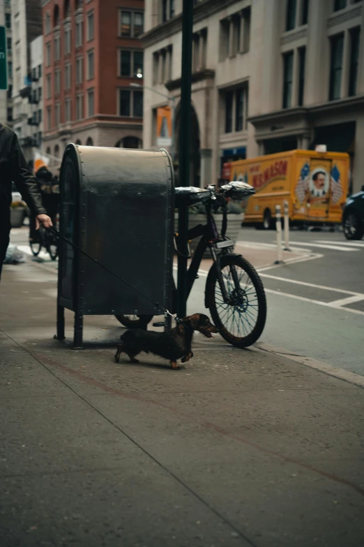 a man with a bike that has pulled a mailbox