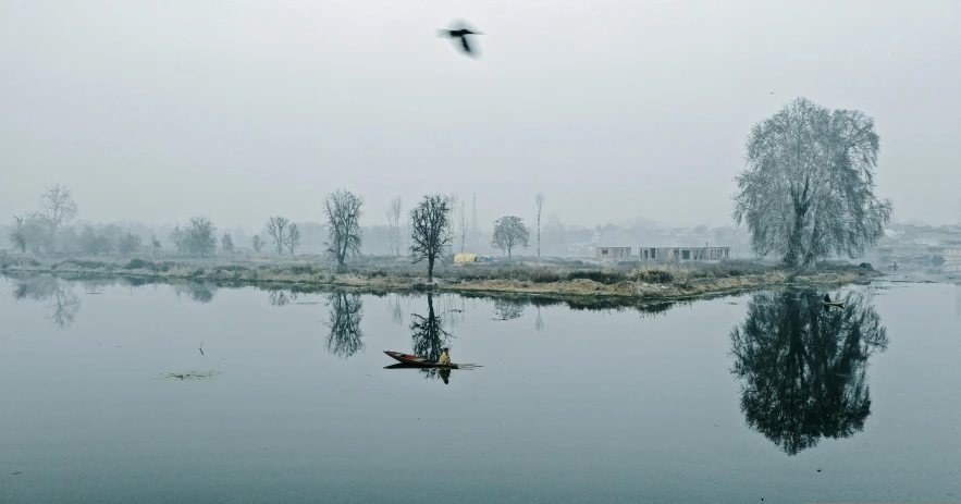 a bird flies over some water near the shore