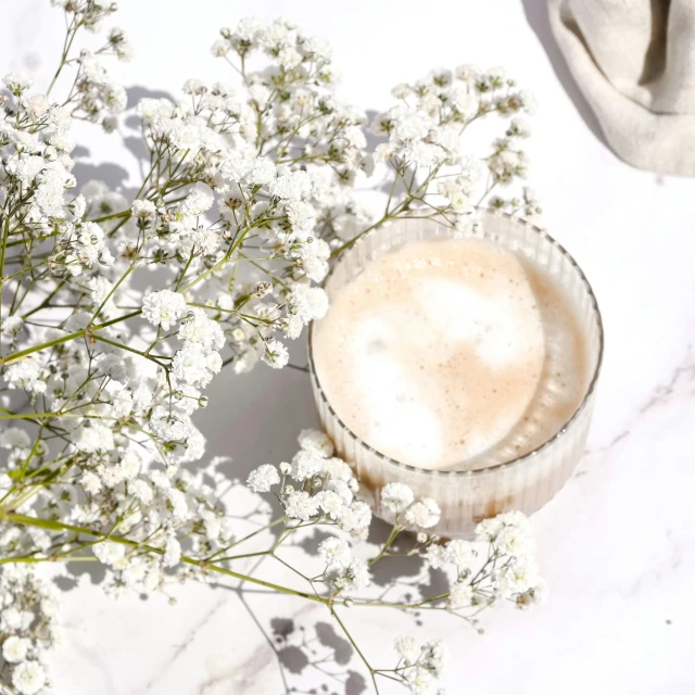 a cup of cappuccino with a small flower in front