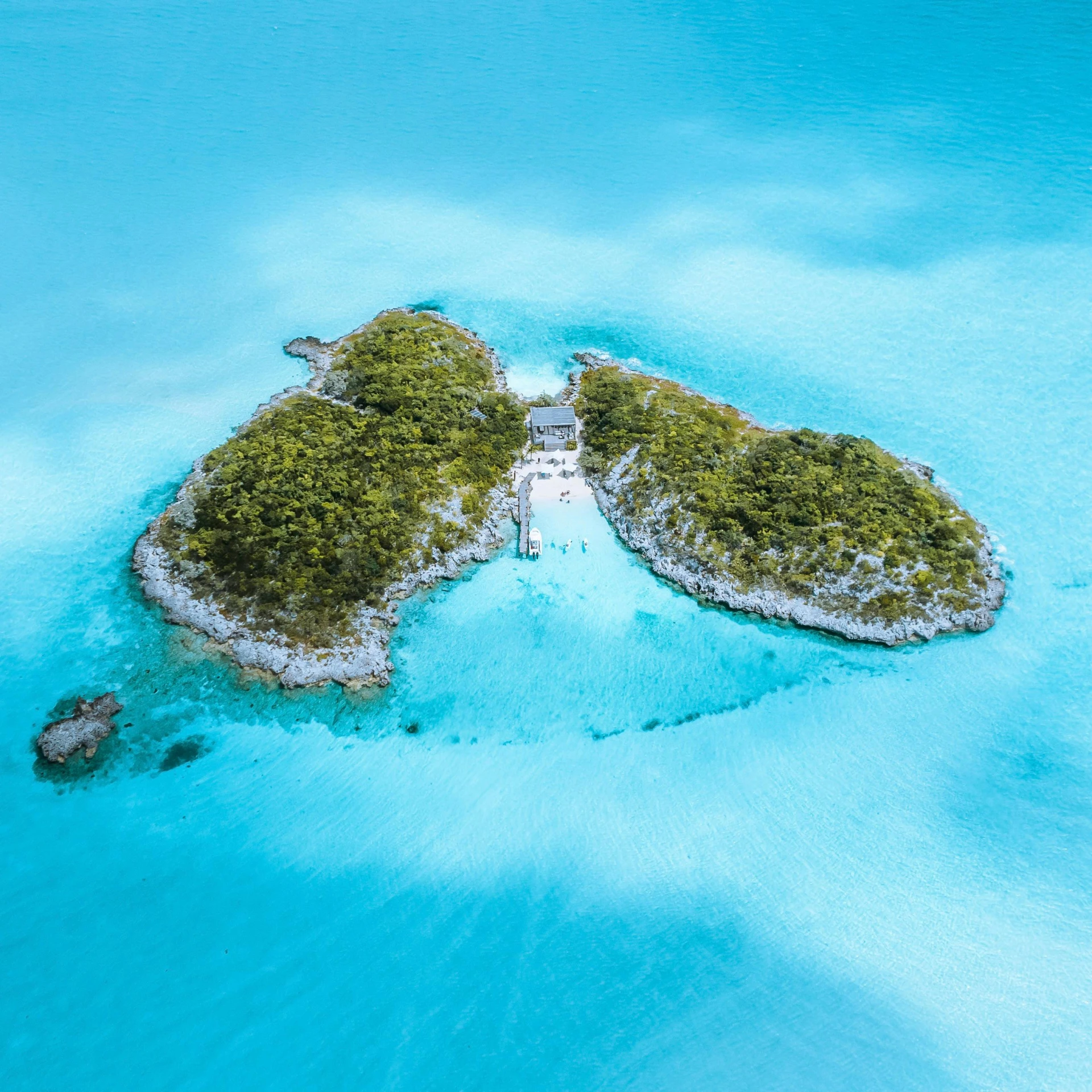 two corals shaped like the ocean on top of some water