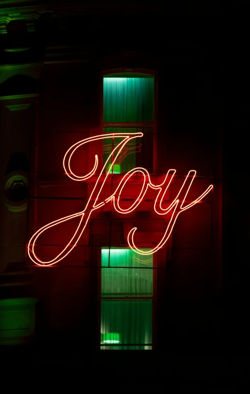 a bright neon sign that reads joy in front of a dark window