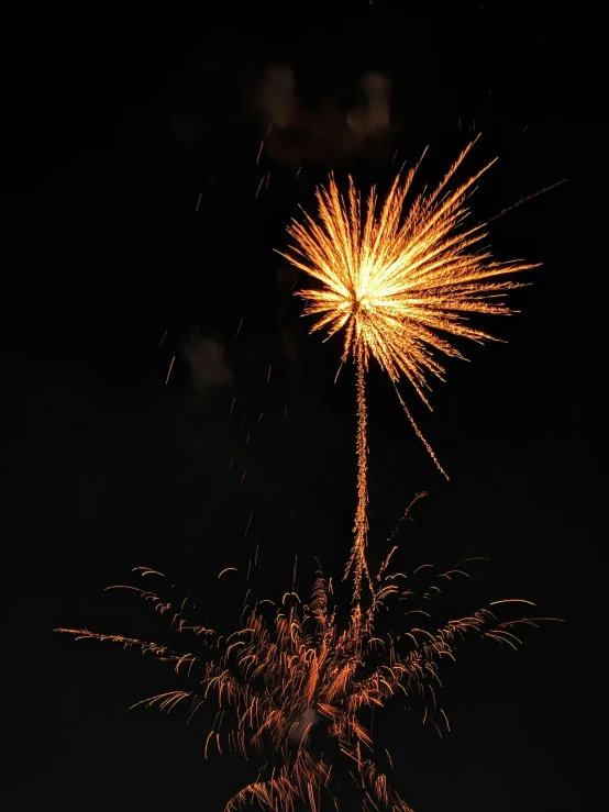 fireworks exploding into the night sky with black background