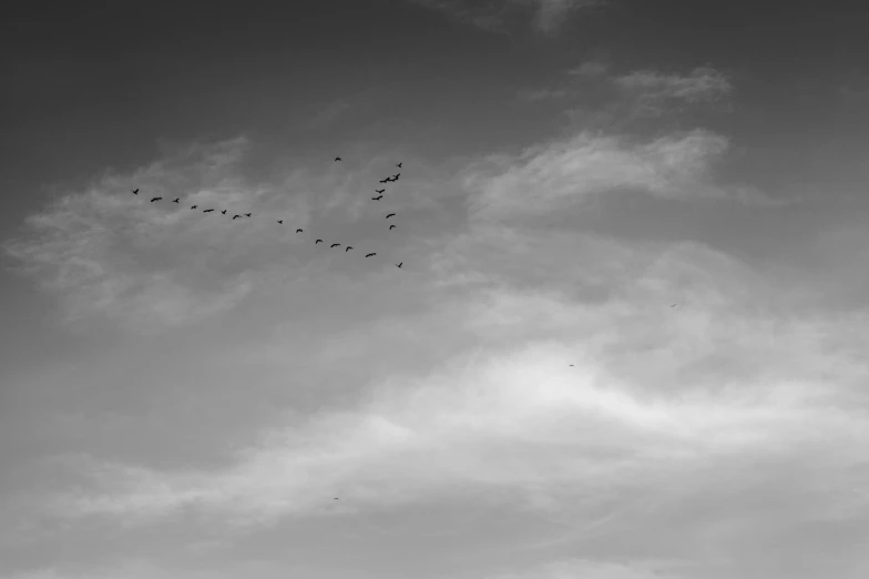 black and white pograph of birds in a cloud filled sky