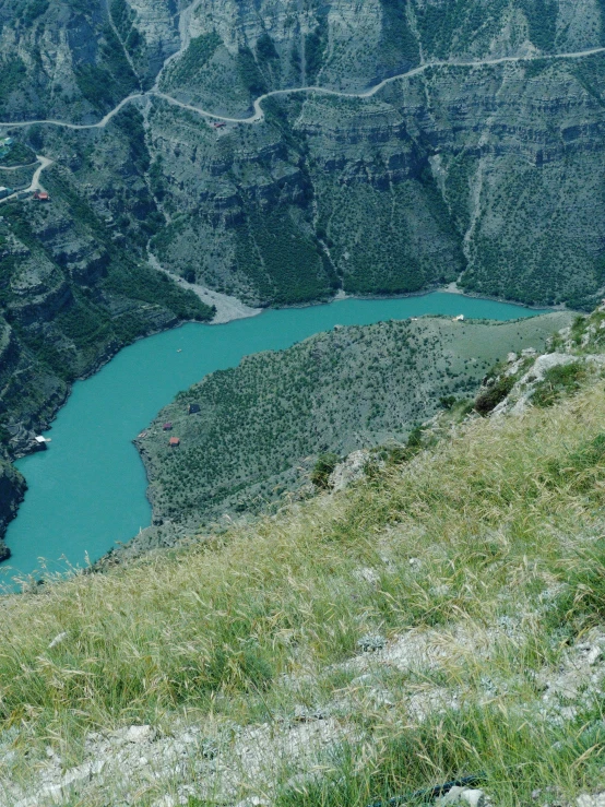 a horse is standing on a high grassy hill