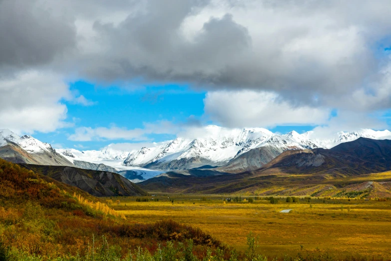 a green valley that has a herd of cattle in it