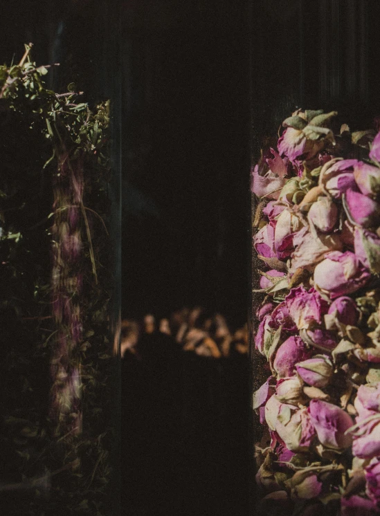 a bunch of dead flower in a vase