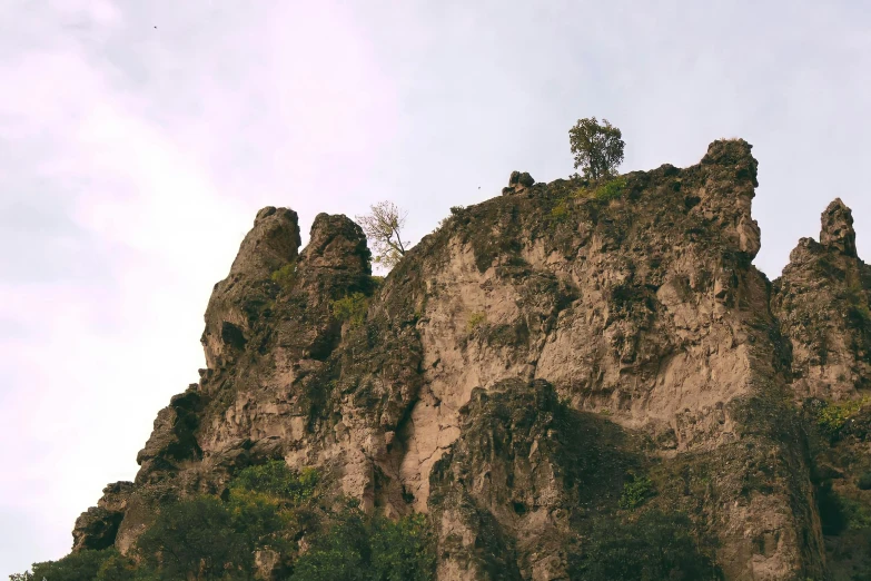 a very tall rocky cliff in the woods