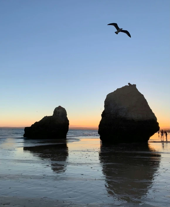 some rocks and some birds flying by the water