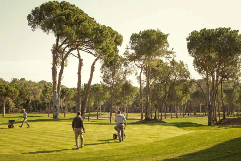 people are playing a game on a sunny golf course