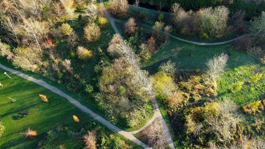 a lush green field surrounded by trees in autumn