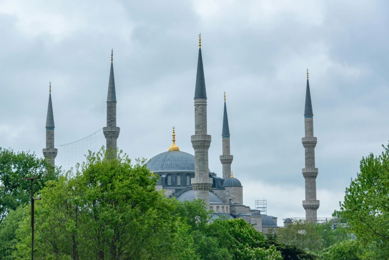 a mosque towering over a lush green forest