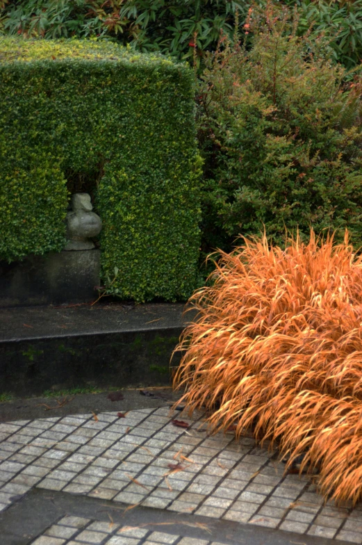 brown grasses and a brick planter on a pathway in the middle of a garden