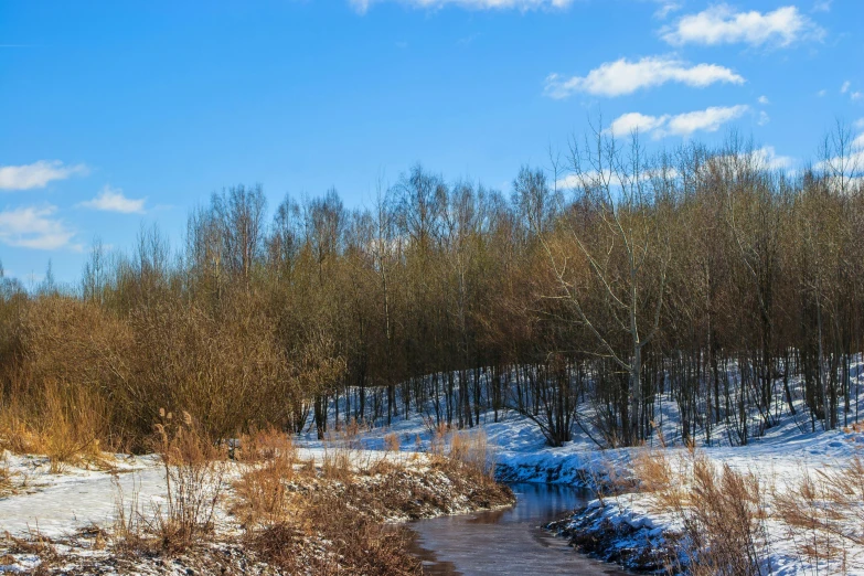 winter scene with river in foreground surrounded by snow covered trees