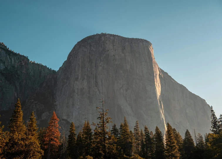 a mountain that has trees and the sun coming on