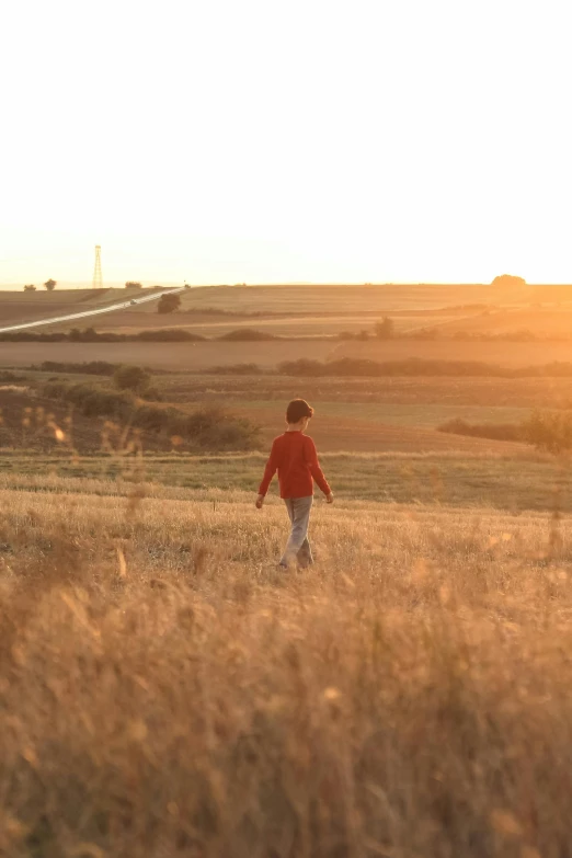 a boy in the field is flying a kite