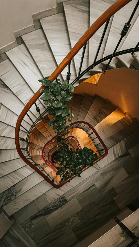 the inside stairs and railing of an old building