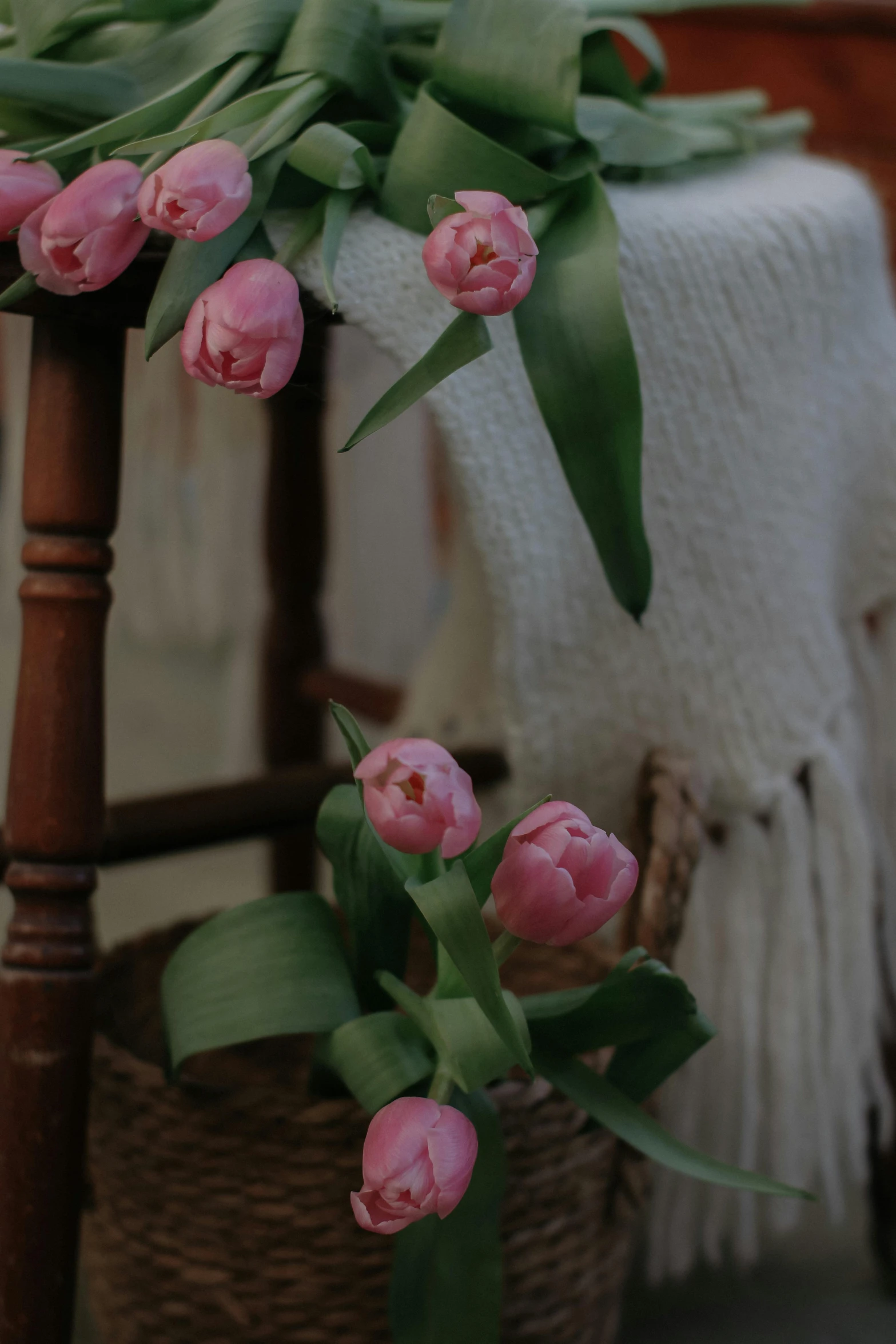 the pink flowers are blooming on a chair