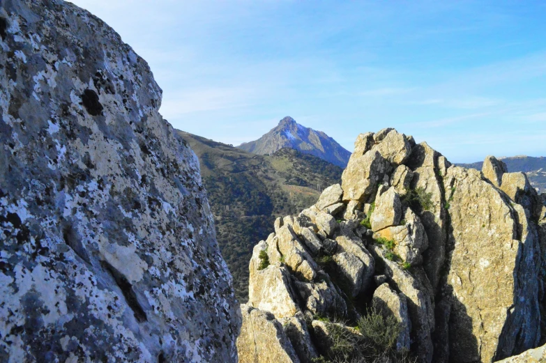 the rocky terrain is dotted with many trees