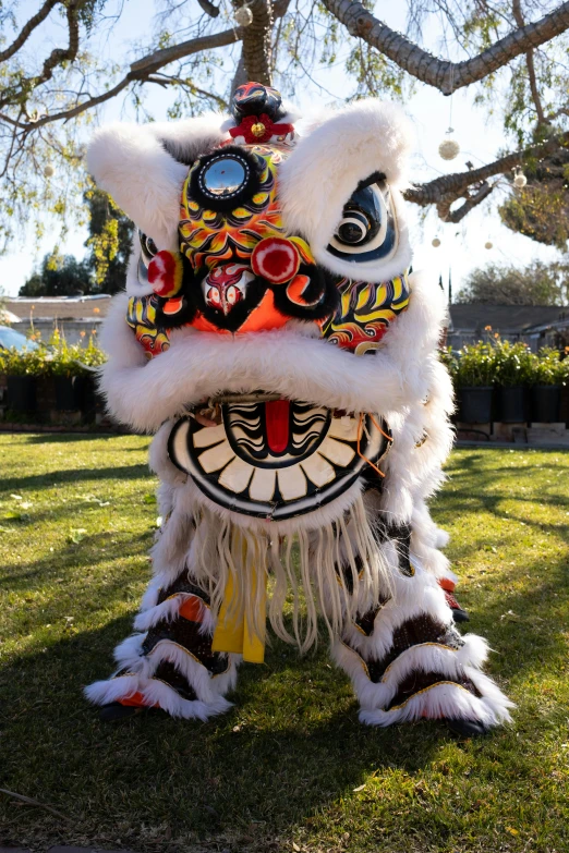 a chinese dragon head hanging in the grass