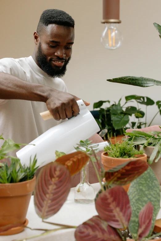 a man is pouring water on a plant