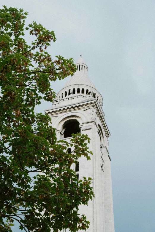 tall building with a dome that is surrounded by leaves