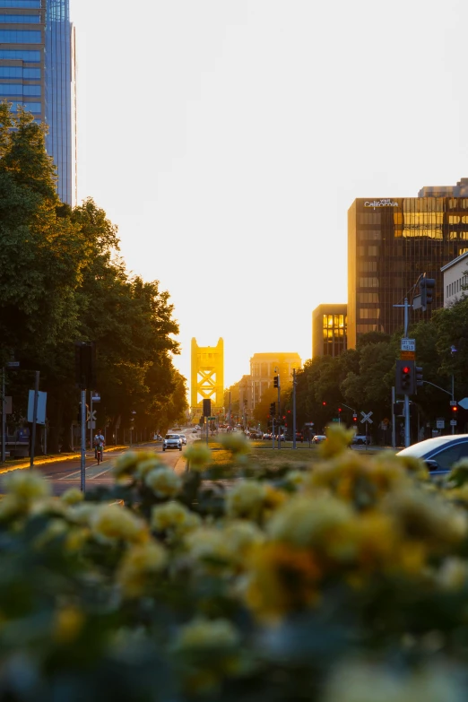 view looking down the street in the evening with sun in the background