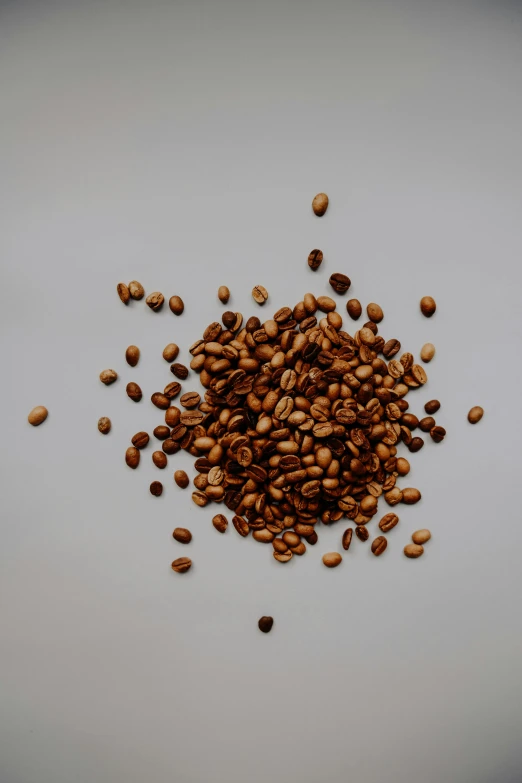 a group of seeds sitting on top of a table