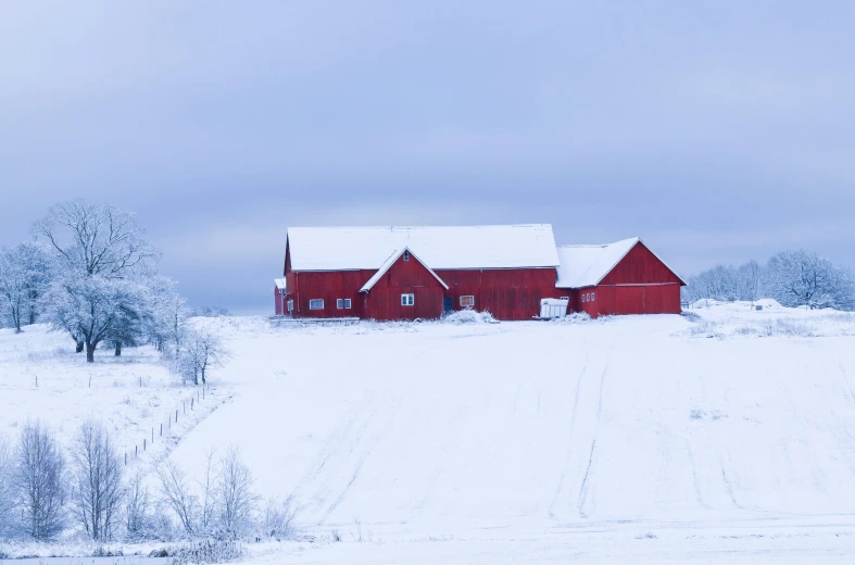 a red barn stands on a snowy field