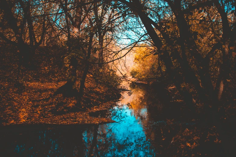 the pond is a bit calm and there is trees on both sides